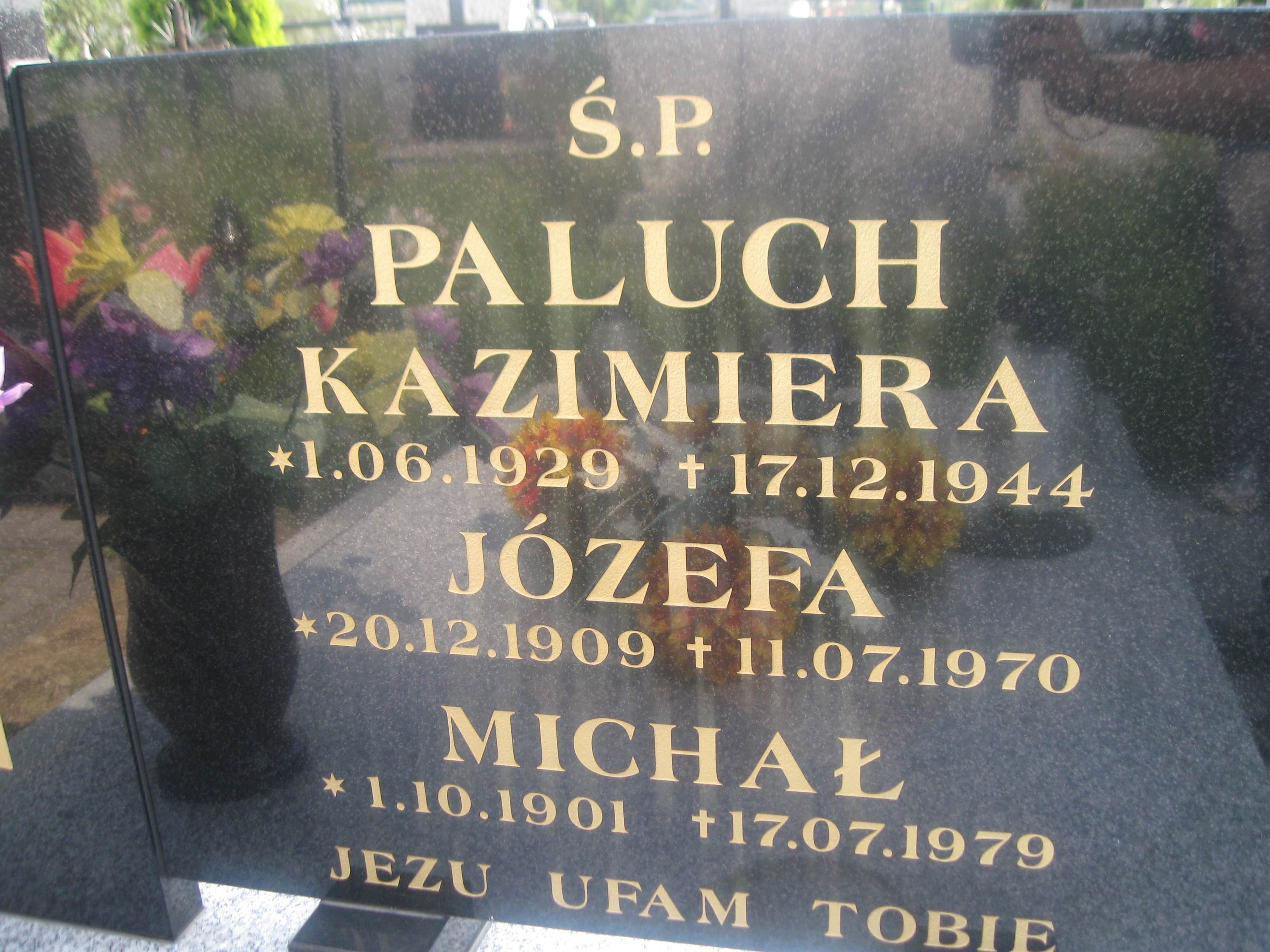 Michał Paluch 1901 Zaleszany - Grobonet - Wyszukiwarka osób pochowanych