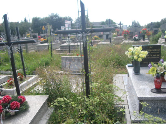 Wiktoria Nieradka 1874 Zaleszany - Grobonet - Wyszukiwarka osób pochowanych