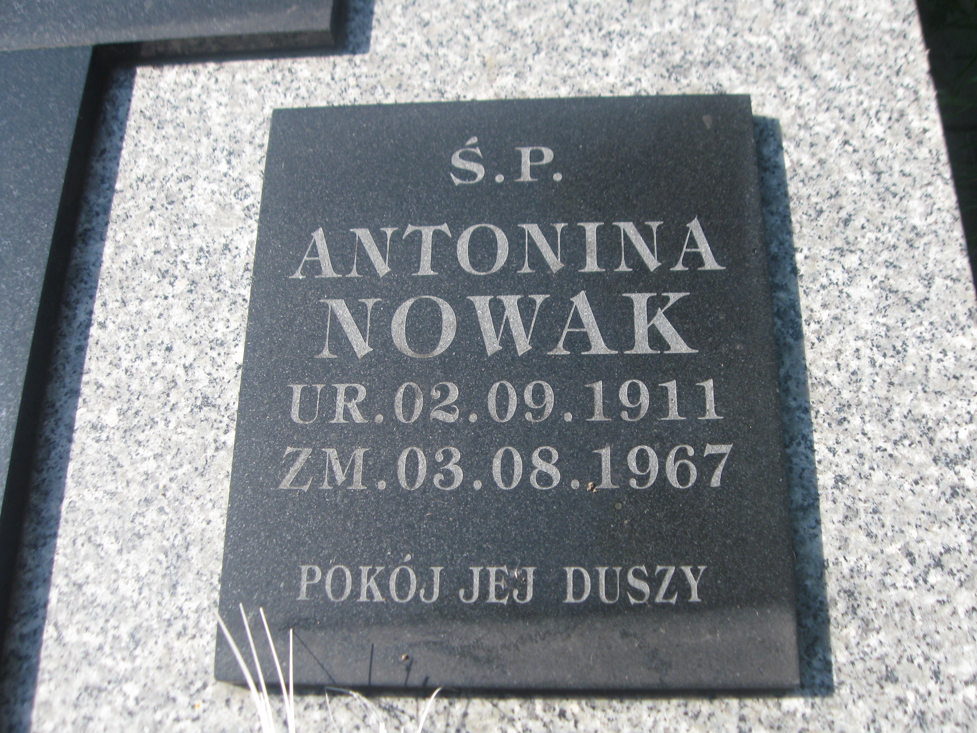 Zdjęcie grobu