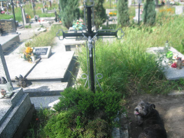 Mieczysław Mączka 1920 Zaleszany - Grobonet - Wyszukiwarka osób pochowanych