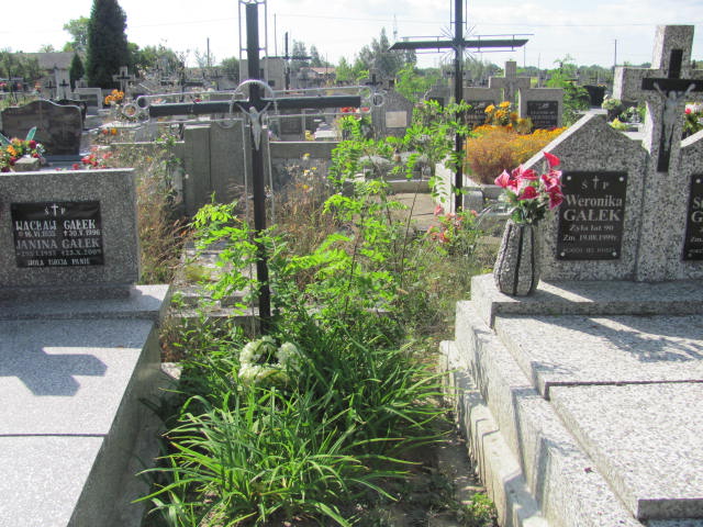 Józefa Chciuk 1912 Zaleszany - Grobonet - Wyszukiwarka osób pochowanych