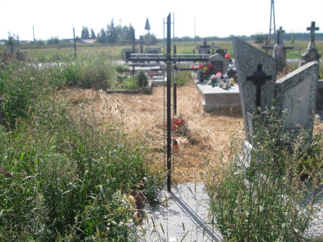 Maria Stępień 1859 Zaleszany - Grobonet - Wyszukiwarka osób pochowanych