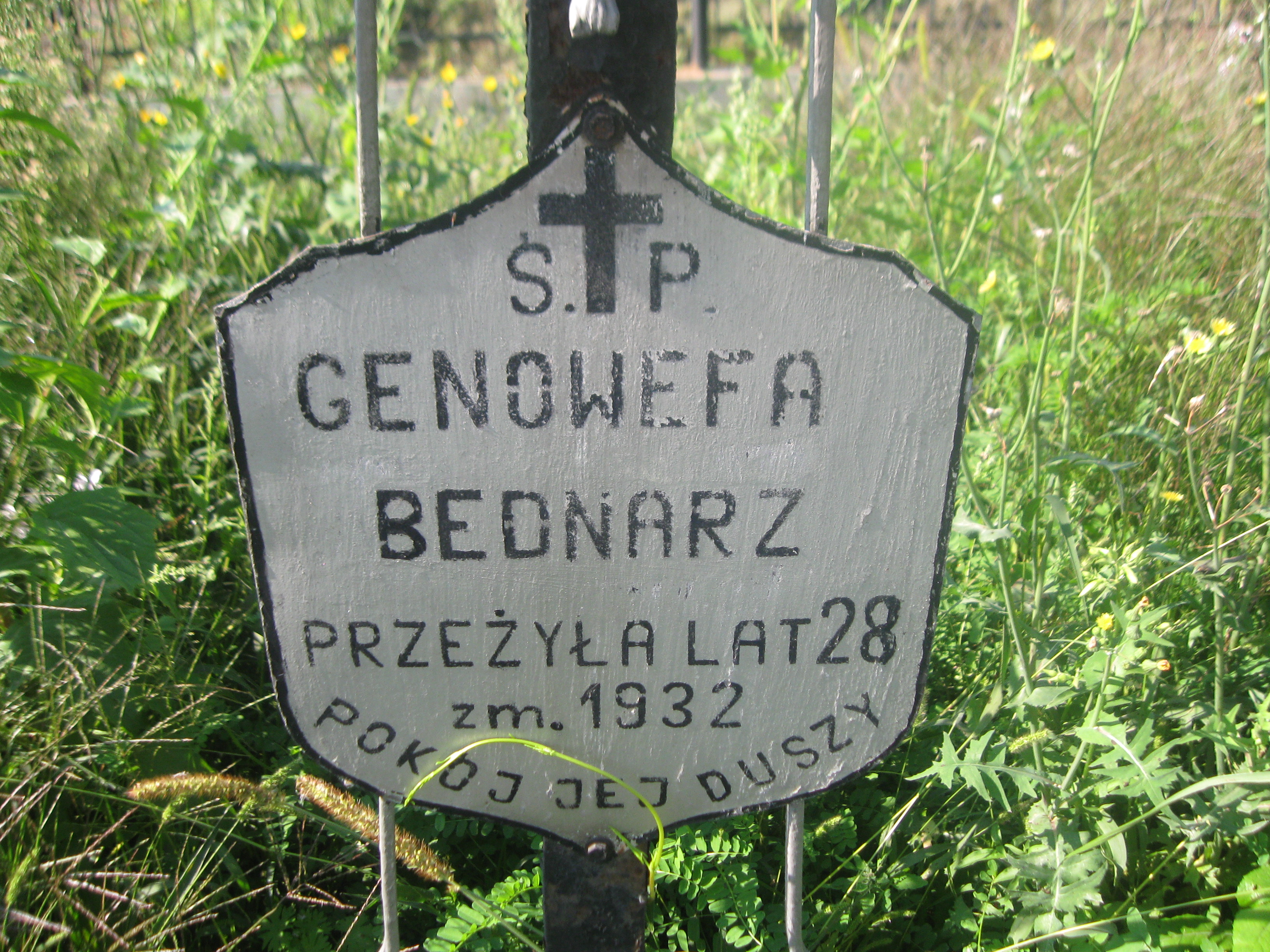 Genowefa Bednarz 1903 Zaleszany - Grobonet - Wyszukiwarka osób pochowanych
