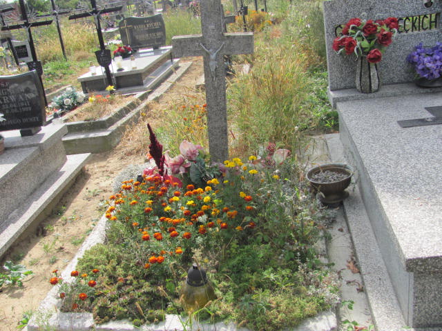 Józefa Pelc 1880 Zaleszany - Grobonet - Wyszukiwarka osób pochowanych