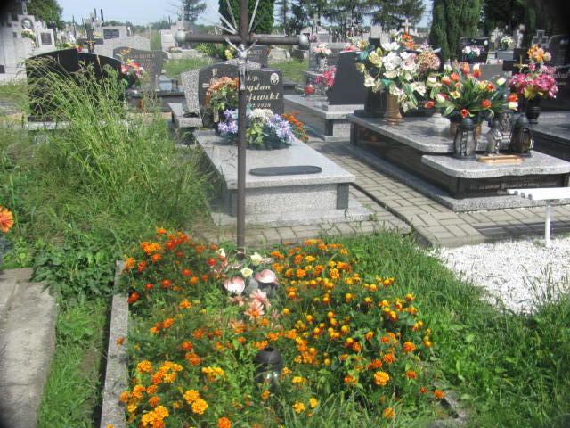  NN Zaleszany - Grobonet - Wyszukiwarka osób pochowanych