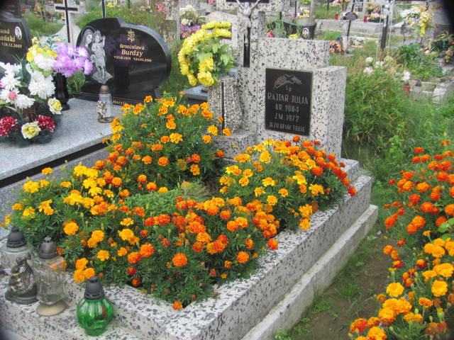 Grób Julia Rajtar