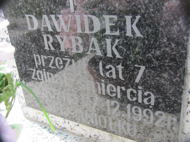 Dawid Rybak 1986 Zaleszany - Grobonet - Wyszukiwarka osób pochowanych