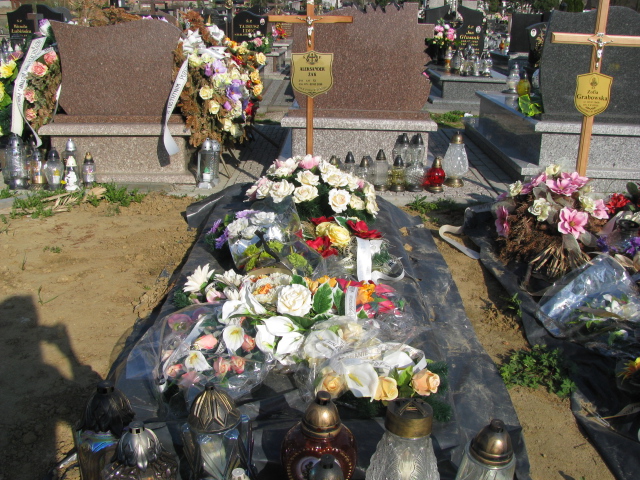 Aleksander Żak 1966 Zaleszany - Grobonet - Wyszukiwarka osób pochowanych