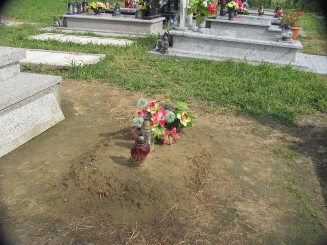 Jan Wolak 1907 Zaleszany - Grobonet - Wyszukiwarka osób pochowanych