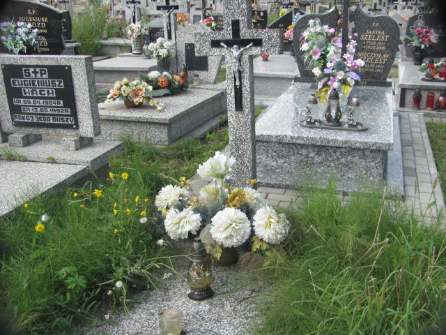 Henryk Turek 1952 Zaleszany - Grobonet - Wyszukiwarka osób pochowanych